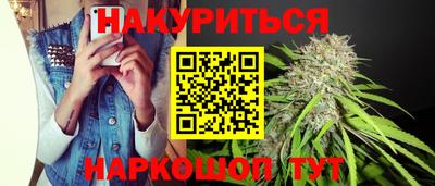 сатива Балахна
